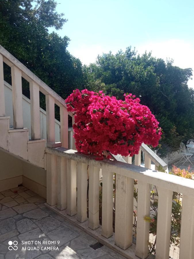 Apartman Hibiskus Бол Экстерьер фото