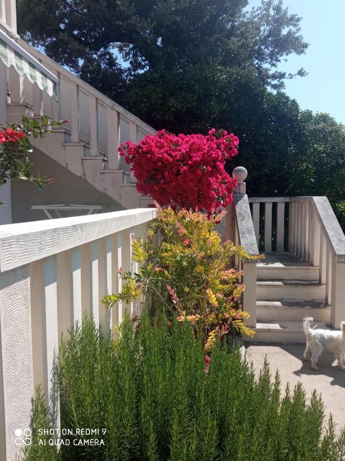 Apartman Hibiskus Бол Экстерьер фото