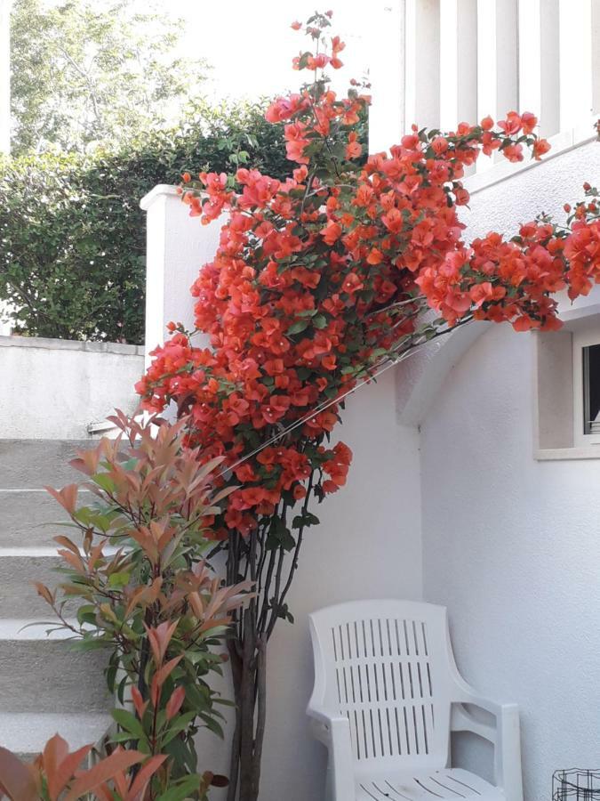 Apartman Hibiskus Бол Экстерьер фото
