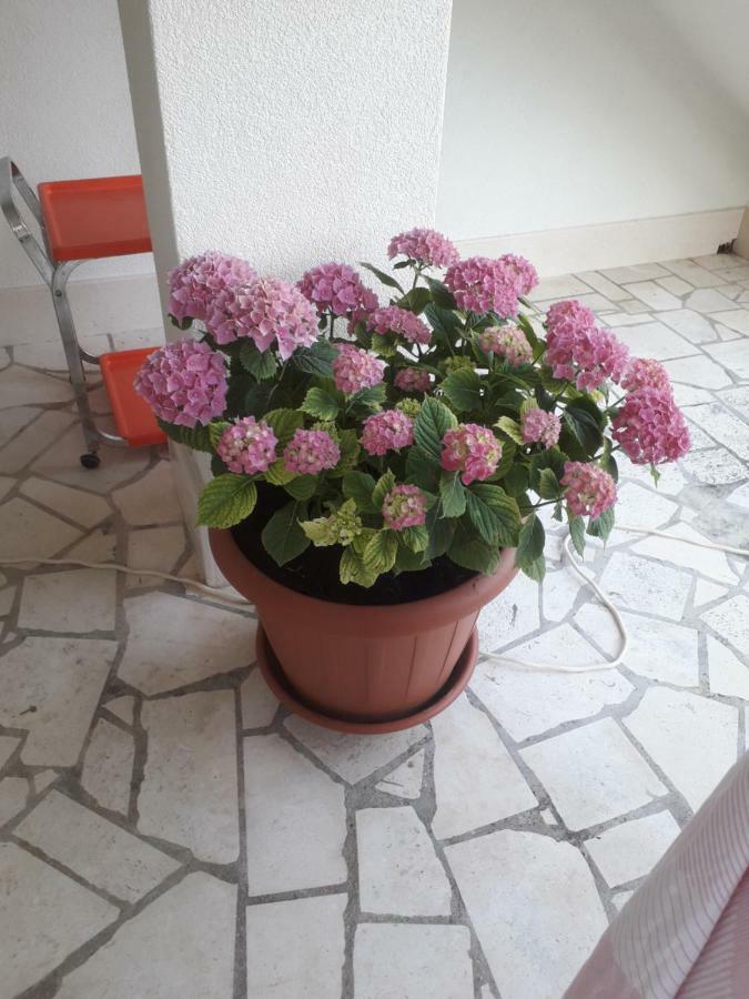 Apartman Hibiskus Бол Экстерьер фото